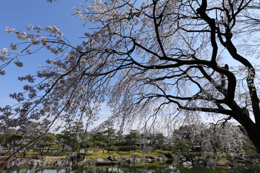 2017 熱田神宮と白鳥庭園