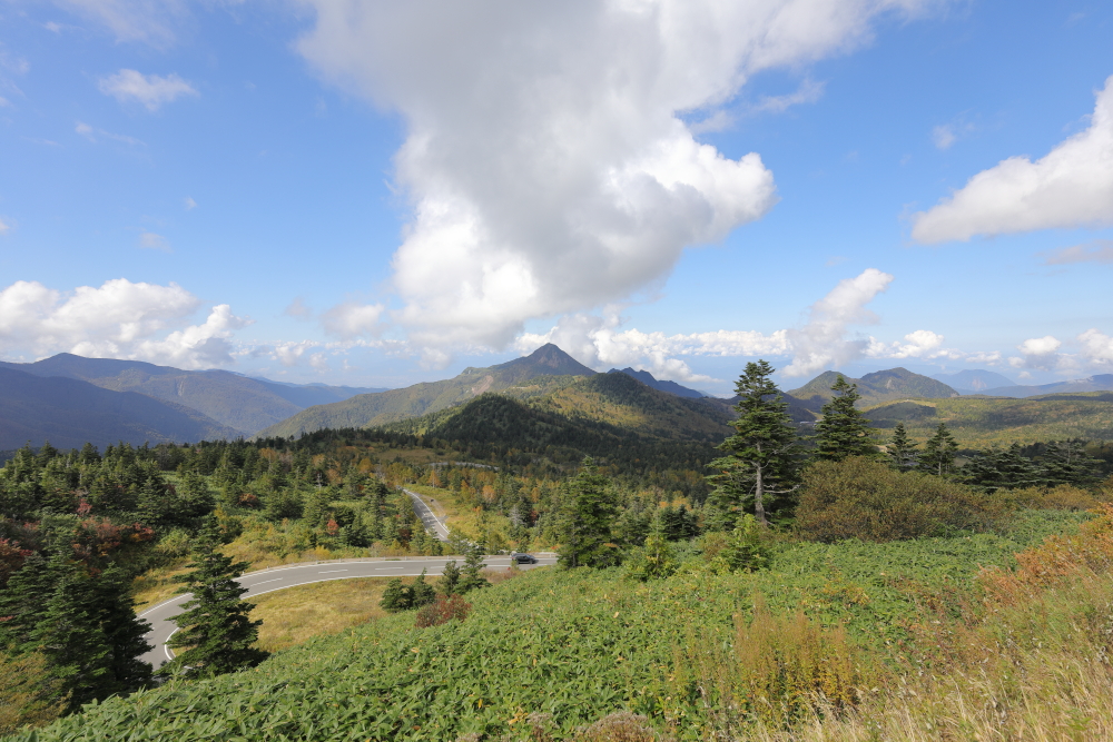 ２０２４年 旅日記