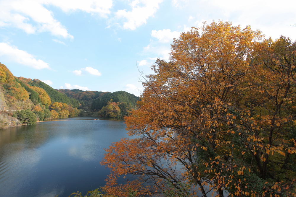 2014 秋の青蓮寺湖