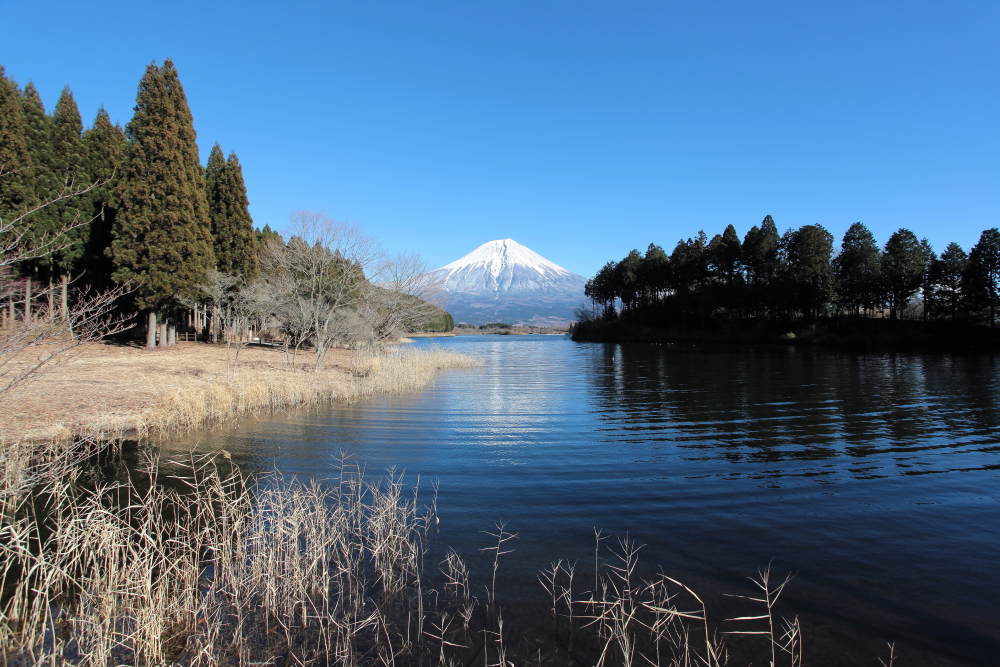 2013 富士山と白糸の滝