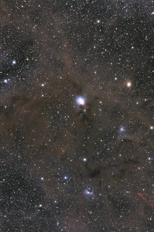 NGC1333付近の散光星雲