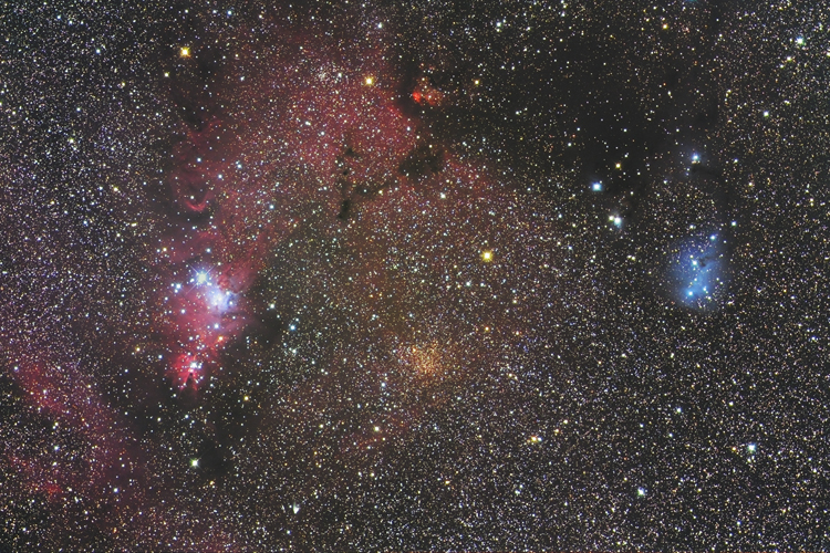 NGC2264とIC2169付近