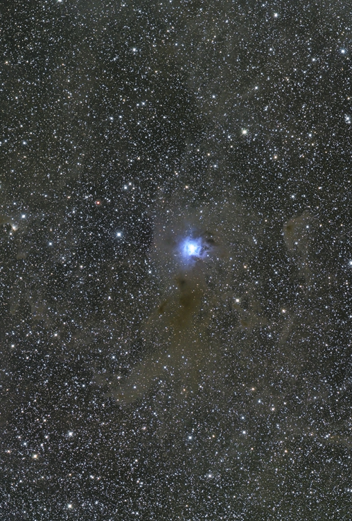 NGC7023 アイリス付近