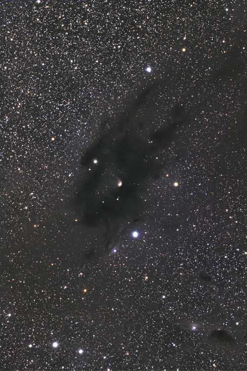 IC2087付近の暗黒帯
