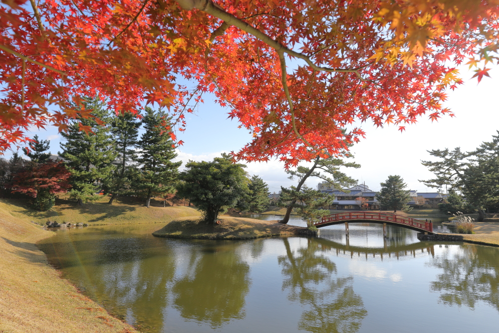 2021 奈良 旧大乗院庭園
