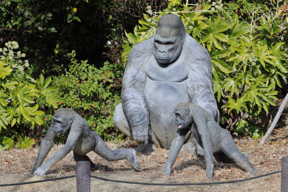 2024 東山動物園