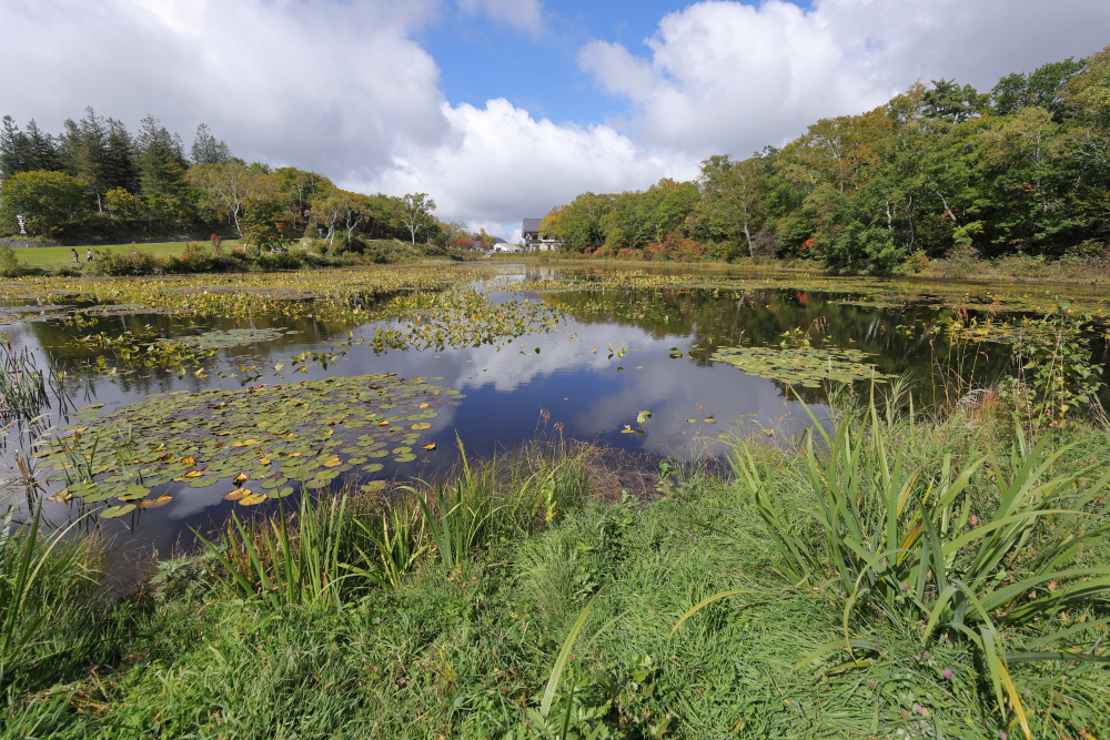 2024 志賀高原 蓮池散策