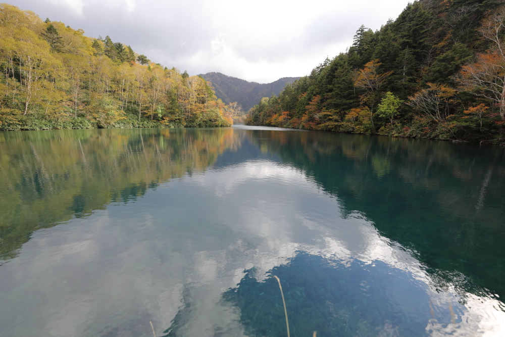 2024 志賀高原 大沼池ハイキング