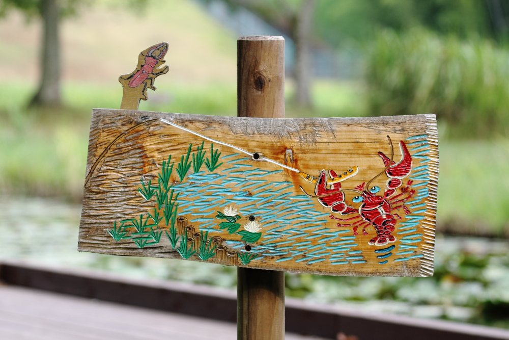 自然写真 風景 2024