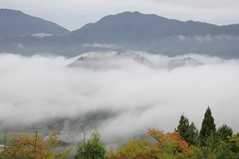 2025 但馬 竹田城跡の雲海