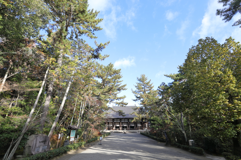 2025 奈良 唐招提寺