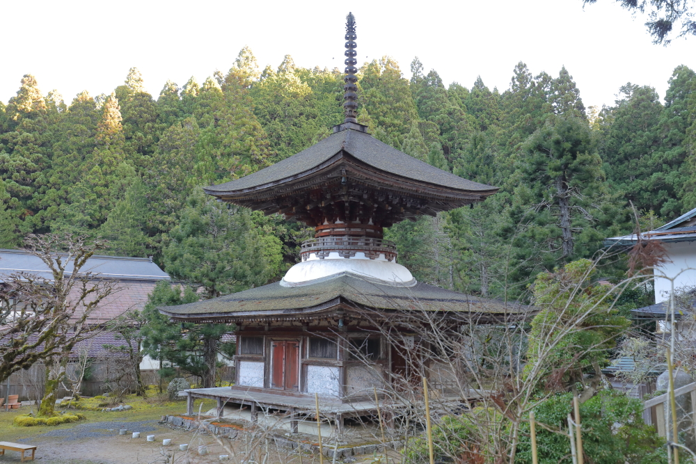 2025 高野山 金剛三昧院