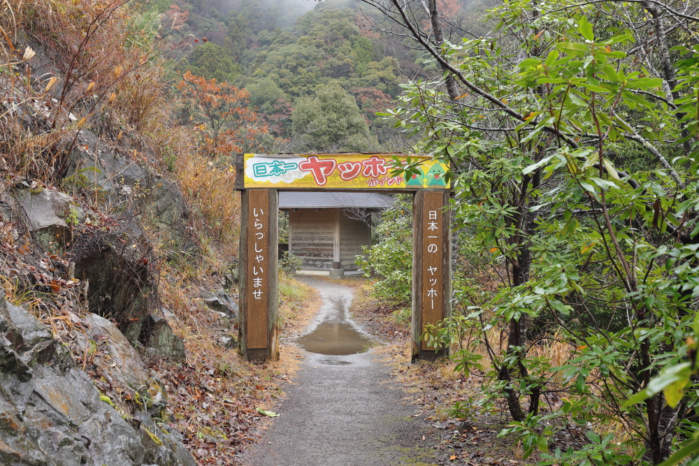 2025 和歌山 椿山レイクブリッジ ヤホーポイント