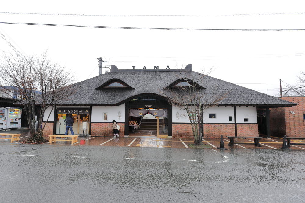 2025 和歌山 貴志駅 たま駅長